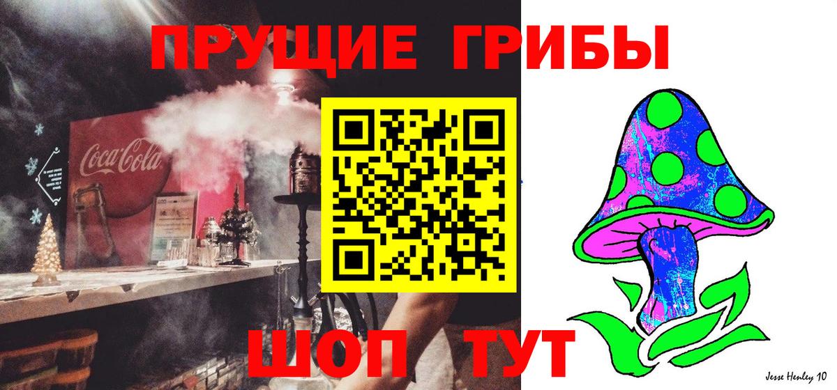 Галлюциногенные грибы GOLDEN TEACHER Белово